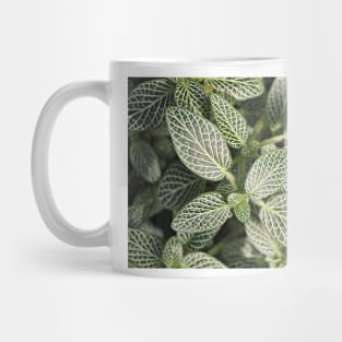 Leaves of Green Mug
